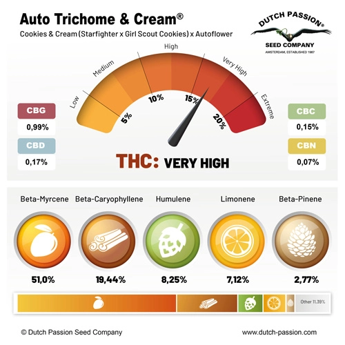 AUTO TRICHOME & CREAM