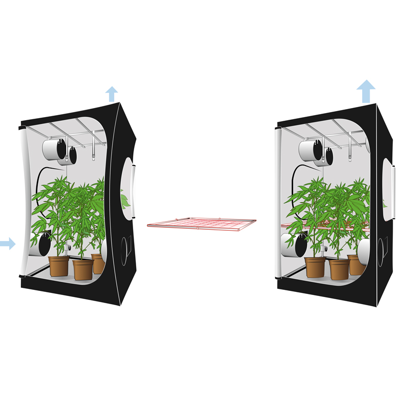 SEA OF GREEN - SECRET JARDIN