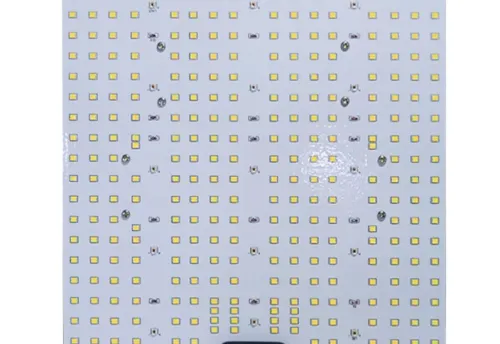 SEA OF GREEN - ORTOLED