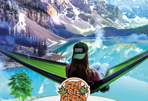 SEA OF GREEN - TYROLEAN DREAM CBD